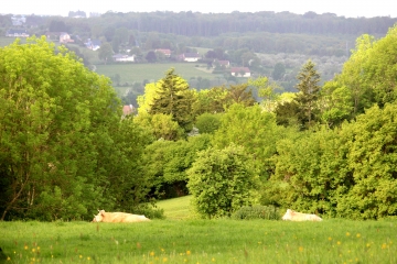 HERMIVAL-LES-VAUX - FIRFOL-calvados
