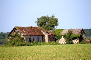 LA CHAPELLE YVON - BOIS DE MAILLOC-calvados