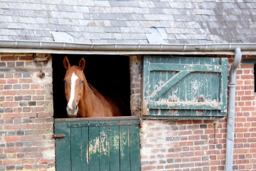 LES MOUTIERS-HUBERT - CANAPVILLE - TICHEVILLE-calvados