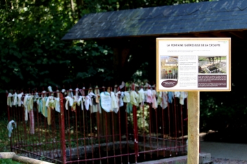 LA CROUPTE - BOIS DE LA COUVINIERE-calvados