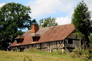 LA CROUPTE - BOIS DE LA COUVINIERE-calvados