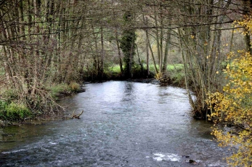 SAINT-MARTIN-DE-MAILLOC-calvados
