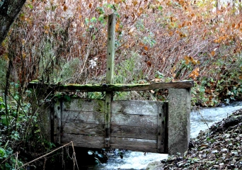 SAINT-MARTIN-DE-MAILLOC-calvados
