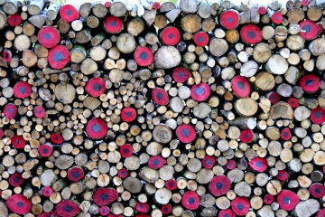 LA CROUPTE ET SA SOURCE-calvados