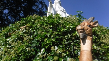 DOUVILLE - BOUCLE SPORTIVE-calvados