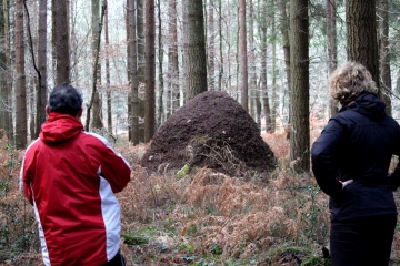 SAINTE-MARGUERITE-DES-LOGES - BELLOU-calvados
