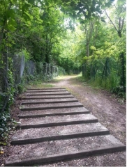 MONDEVILLE (LE PLATEAU) - RANDONNEE BUCOLIQUE-calvados