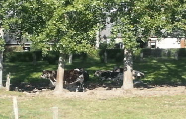 SAINT-PIERRE-TARENTAINE DANS LE BOCAGE VIROIS-calvados