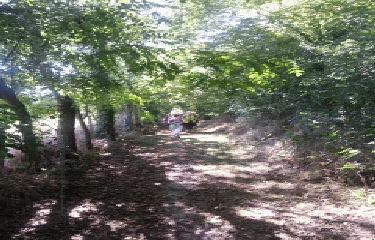 SAINT-PIERRE-TARENTAINE DANS LE BOCAGE VIROIS-calvados