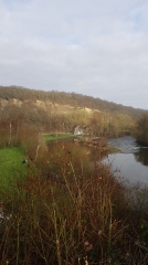 GOUPILLERES - LA FORET DE GRIMBOSQ - TROIS-MONTS-calvados