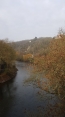 LE VAL DE MAIZET ET LA FORET DE GRIMBOSQ-calvados