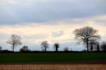 NOROLLES - BLANGY-LE-CHATEAU-calvados