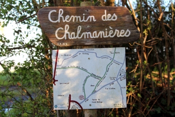 LIVAROT - FORET DE LIVAROT-calvados