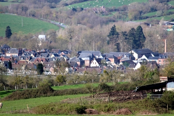 LIVAROT - FORET DE LIVAROT-calvados