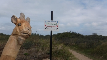 SALLENELLES - MERVILLE - BREVILLE-calvados