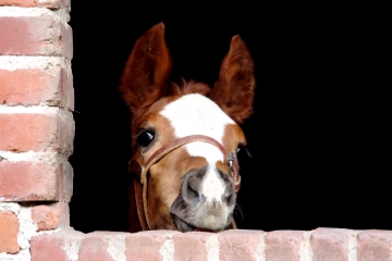 HERMIVAL-LES-VAUX - OUILLY-DU-HOULEY-calvados