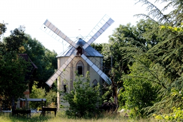 CERNAY - BOIS DE SAINT MARTIN DE BIENFAITE-calvados