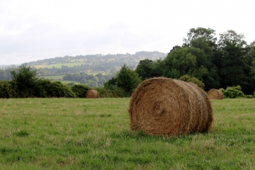 SAINT-HYMER - PIERREFFITE-EN-AUGE-calvados