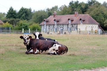BELLOU - SAINT OUEN LE HOUX-calvados