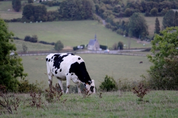 SAINT DENIS DE MAILLOC - SAINT PIERRE DE MAILLOC-calvados