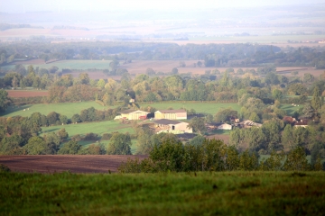 LE BILLOT - BOIS D  ECOTS - FORET DE MONTPINCON-calvados