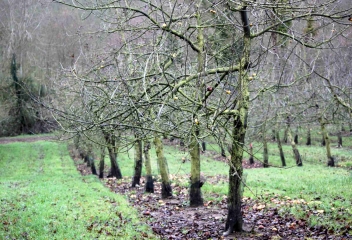LE TORQUESNE-calvados