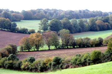 LA FOLLETIERE - ABENON-calvados
