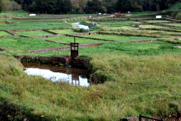 LA FOLLETIERE - ABENON-calvados