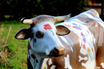 AUQUAINVILLE - LE MESNIL-GERMAIN - CHEFFREVILLE-calvados