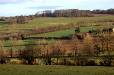 FERVAQUES - CHEVREVILLE-TENNENCOURT-calvados