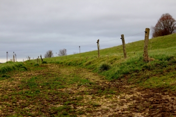 FERVAQUES - LA CROUPTE - BOIS DE LA COUVINIERE-calvados