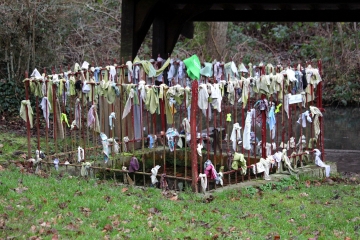 FERVAQUES - LA CROUPTE - BOIS DE LA COUVINIERE-calvados