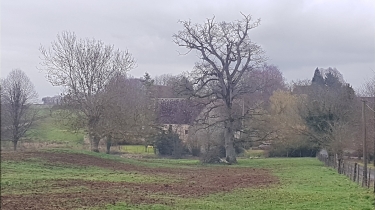 VILLERS-CANIVET - ABBAYE DE STE-MARIE AUX DAMES-calvados
