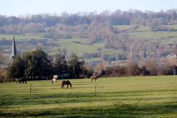 LE MESNIL-DURAND (3)-calvados