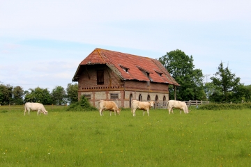 HERMIVAL-LES-VAUX - FAUGERNON-calvados