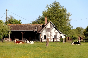 TORDOUET - VALORBIQUET-calvados