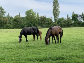 LES MOUTIERS-HUBERT - PREAUX SAINT SEBASTIEN - CANAPVILLE-calvados
