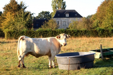 CERNAY - LA CRESSONIERE-calvados