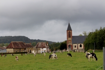 LE BILLOT - AMMEVILLE - NOTRE DAME DE FRESNAY - SAINT MARTIN DE FRESNAY-calvados