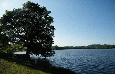LAC DE LA DATHEE-calvados