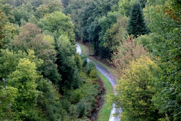 LE FOLLETIERE-ABENON - BOIS DU ROI-calvados