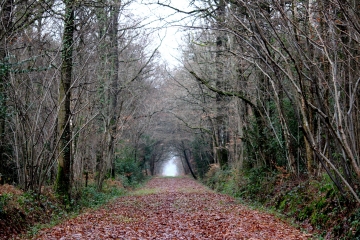 FERVAQUES - LA CROUPTE (2)-calvados