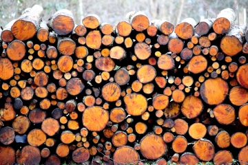 COURTONNE-LA-MEURDRAC (2)-calvados