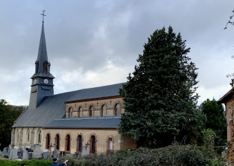 NOTRE-DAME-DE-COURSON - BOIS DE LA COUVINIERE-calvados