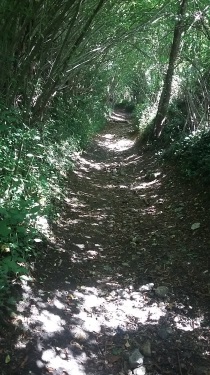 PRETREVILLE VERS LE MOULIN DE QUERVILLE-calvados