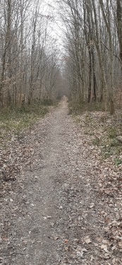 OUILLY-DU-HOULEY EN PAYS D AUGES-calvados