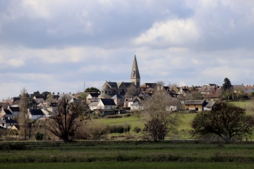 SAINT-SAMSON - LES MARAIS-calvados