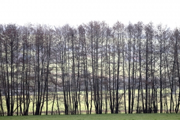 LES MOUTIERS-HUBERT VERS NOTRE-DAME-DE-COURSON-calvados