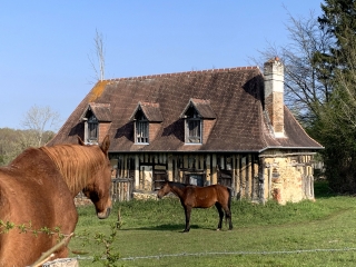 SAINT-JEAN-DE-LIVET - 13 KM-calvados