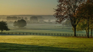 HARAS ET VALLONS-calvados